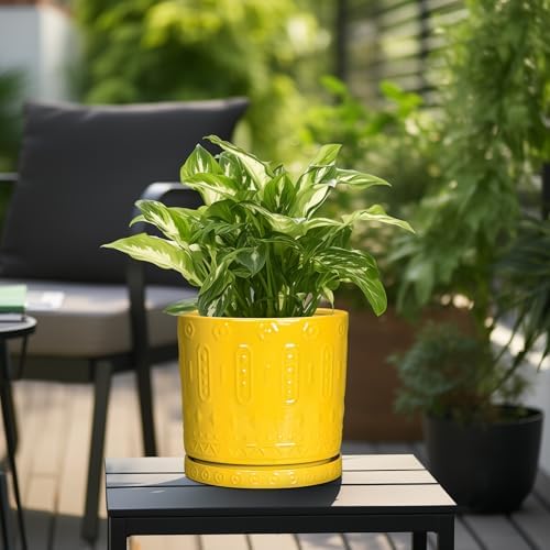Eightpot Ceramic Pots for Plants, 10 Inch Plant Pot with Drainage Holes and Tray, Round Planter for Indoor Outdoor Plants, Modern Decorative Flower Pots, Office Decor, Birthday Gift for Women, Yellow - Image 5