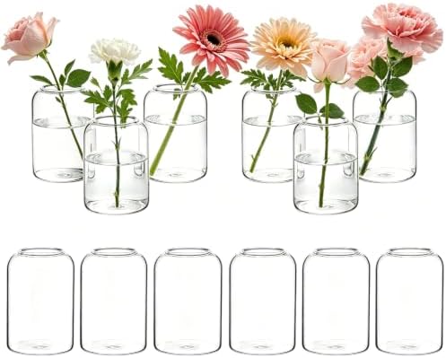 12 Pack Glass Bud Vases for Centerpieces Modern Decorative Vases Clear Small Flower Vase Cylinder Glass Vase for Flowers Mini Candle Vase Clear Table Decor for Wedding Dining Party Home by Sibosen