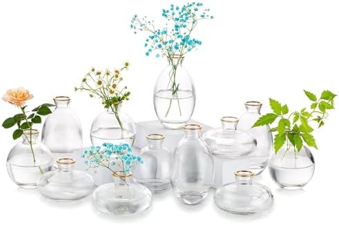 Glasseam Glass Bud Vase for Centerpieces: 12Pcs Clear Mini Small Vases Bulk by Glasseam