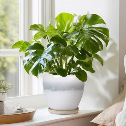 Ceramic Plant Pot - 6 Inch Ceramic Pots Indoor, White-Grey - Image 7