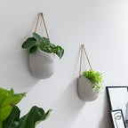 Kazai. Wall Planters -Ellie- | Hanging Ceramic Plant Pots 2 Pieces | Wall Decoration for Indoors, Balcony and Garden | Light Gray (Matte) - Image 6