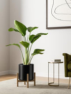 LE TAUCI 10+8+6 Inch Ceramic Pots for Plants, Indoor Planters with Drainage Hole and Plug, Modern Cylinder Flower Pots Set of 3 for Office and Living Room, Satin, Black - Image 4