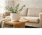 8 Inch Ceramic Plant Pot,White - Image 2