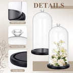 Suclain 2 Pcs 6 x 10 Inch Cloche Glass Dome with Base Bell Jar, Black - Image 3