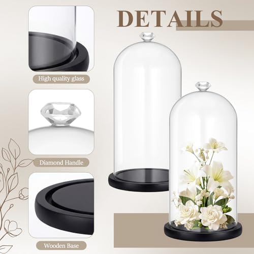 Suclain 2 Pcs 6 x 10 Inch Cloche Glass Dome with Base Bell Jar, Black - Image 3