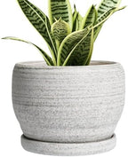 SQOWL Ceramic Planters for Indoor Plants - 6 Inch Plant Pot with Drainage Hole and Saucer, Small Ceramic Flower Pot, Round Decorative Planter Outdoor, Living Room Decor, Garden Gifts for Women, Gray by SQOWL