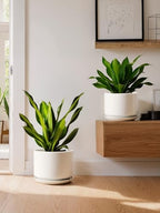 LE TAUCI 10 inch Plant Pot, Ceramic Pots for Plants, White - Image 6