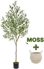 Warmplants Artificial Olive Tree 6ft Fake Plant with Woven Basket by Warmplants