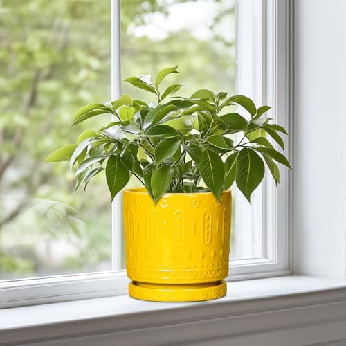 Eightpot 6 Inch Pots for Plants, Ceramic Pots for Plants with Drainage Holes and Tray, Round Planter for Indoor Outdoor, Modern Plant Pot, Decorative Flower Pot, Table Decor, Teacher Gift, Yellow - Image 3