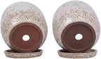 Claybourne Embossed Terracotta Plant Pots with Drainage Hole & Saucer, 4/6/8 Inch, Indoor/Outdoor Planter with Pebbles (White（Forest Elf）, 6 inch) - Image 2