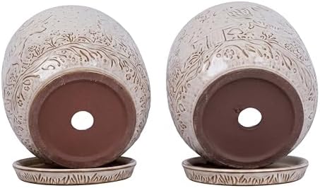 Claybourne Embossed Terracotta Plant Pots with Drainage Hole & Saucer, 4/6/8 Inch, Indoor/Outdoor Planter with Pebbles (White（Forest Elf）, 6 inch) - Image 2