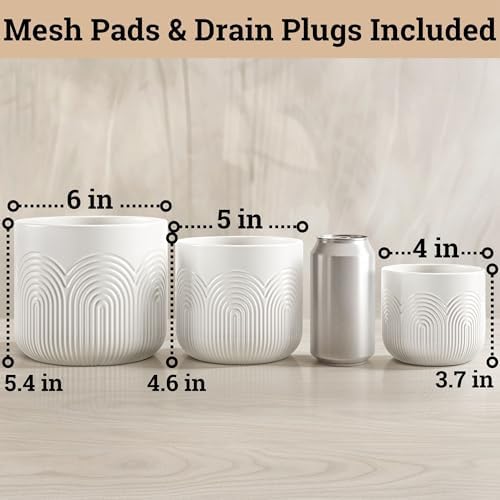 Ceramic Pots for Plants Set of 3, 6, 5, 4 Inch Diameter with Drainage Holes - Image 6