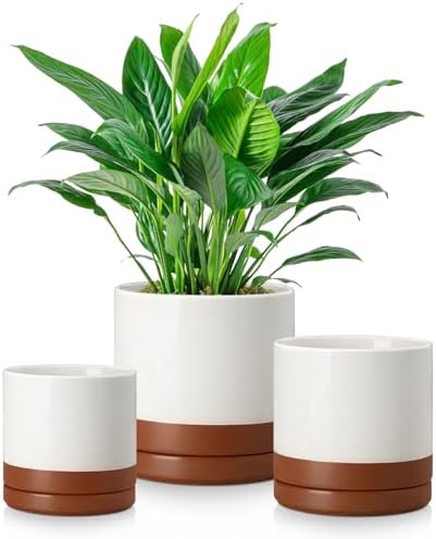 vancasso Ceramic Plant Pots, 3 Piece Planters for Indoor Plants, Khaki by vancasso
