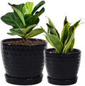 Plant Pots, Flower Pots, Planters for Indoor Plants(6.5+5.5inch), Flower Pots for Indoor Plant with Drainage Hole and Saucer, Ceramic Pots for Plants with Hole Mesh Pad, Black by Swkien