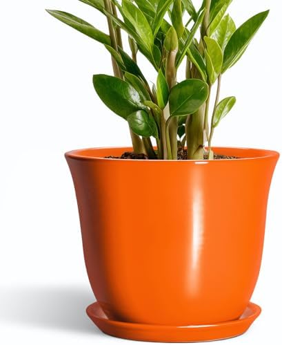 10 Inch Plant Pot, Ceramic Pots for Plants with Drainage, Orange by SUNPOTFOR