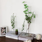 Fixwal 24pcs Clear Glass Cylinder Vases, 4, 6, 8, 10 Inch Tall - Image 5