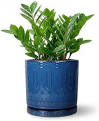 Eightpot 8 Inch Planter, Ceramic Plant Pots with Drainage Hole and Tray, Round Flower Pots for Indoor Plants Outdoor, Boho Planter, Decorative Pot for Plants, Plant Lover Gifts, House Decor, Blue by Eightpot
