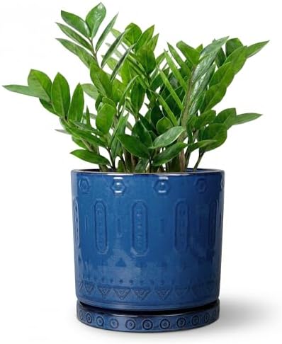Eightpot 8 Inch Planter, Ceramic Plant Pots with Drainage Hole and Tray, Round Flower Pots for Indoor Plants Outdoor, Boho Planter, Decorative Pot for Plants, Plant Lover Gifts, House Decor, Blue by Eightpot