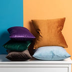 JUSPURBET 28x28 Euro Velvet Throw Pillow Covers Set of 2,Coffee - Image 5