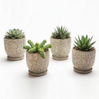 Ceramic Animal Embossed Planter Pots with Drainage Holes and Saucers, 4 Inch, Set of 4, Assorted Designs - Image 2