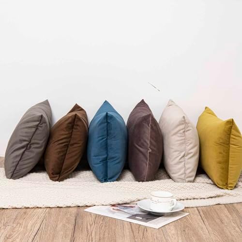 JUSPURBET 28x28 Euro Velvet Throw Pillow Covers Set of 2,Ash - Image 5