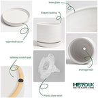 HERDUK 6 Inch Plant Pots, Ceramic Planter Pot with Drainage Hole & Saucer, Indoor/Outdoor Cylinder Round Planter Pot, Matte White - Image 4