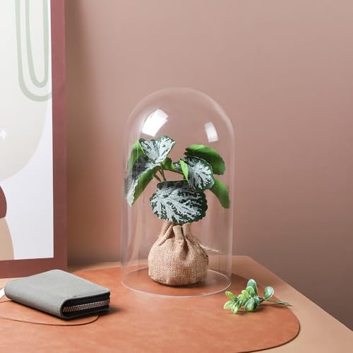 10" Tall Clear Glass Display Cloche, Dome Shape for Terrarium, Plants, Trinkets, Cakes, Figurines, LED Light String, Candle. Cloche Glass Dome, Bell Jar Display Case (1, 5.5"x10") - Image 4