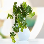 Factory Direct Craft Grape Leaf Cascading Artificial Ivy Vine Bush Greenery - Indoor/Outdoor Tuscany Vineyard Winery Grape Leaves Plant for Home Porch or Patio Decor (16" L) - Image 4