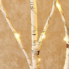 Hairui Lighted Birch Branches Battery Operated with 8 Functions 100 Multi Color and Warm White Lights, Pre Lit Twig Branches for Easter Christmas Party Room Decoration - Image 5