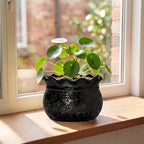 Ceramic Flower Pots 6 Inch, Unique Planter with Drainage, Black - Image 3