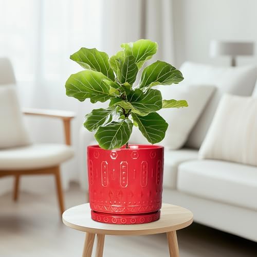 Eightpot Ceramic Plant Pots, 8 Inch Plant Pots Indoor Outdoor, Round Flower Pot with Drainage Hole and Sacuer, Boho Pot for Plants, Decorative Planter, Home Room Bathroom Decor, Garden Gifts, Red - Image 5