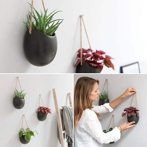 Kazai. Wall Planters -Ellie- | Hanging Ceramic Plant Pots 3 Pieces | Wall Decoration for Indoors, Balcony and Garden | Graphite (Matte) - Image 3