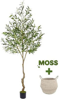 Warmplants Artificial Olive Tree 7ft Fake Plant with Woven Basket by Warmplants