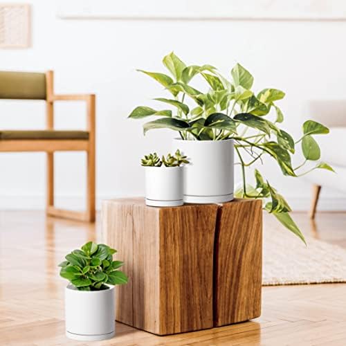 D'vine Dev 3-Pack White Terracotta Pots & Saucers, 4/5/6 in, 40-T-A-1 - Image 2