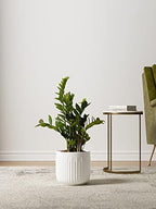 LE TAUCI Ceramic Planters, 8.3/7/6 Inch Indoor Pots for Plants with Drainage Holes & Mesh, Modern Matte Glaze Cylinder Fluted Plant Pot for Snake Plant, Set of 3, White - Image 3
