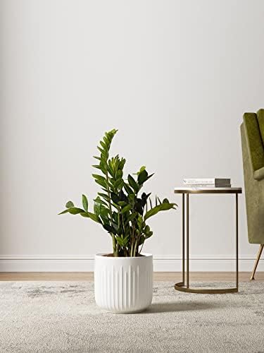 LE TAUCI Ceramic Planters, 8.3/7/6 Inch Indoor Pots for Plants with Drainage Holes & Mesh, Modern Matte Glaze Cylinder Fluted Plant Pot for Snake Plant, Set of 3, White - Image 3