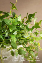 Ling's moment Artificial Clematis Cascading Greenery Garlands Vines - Image 3