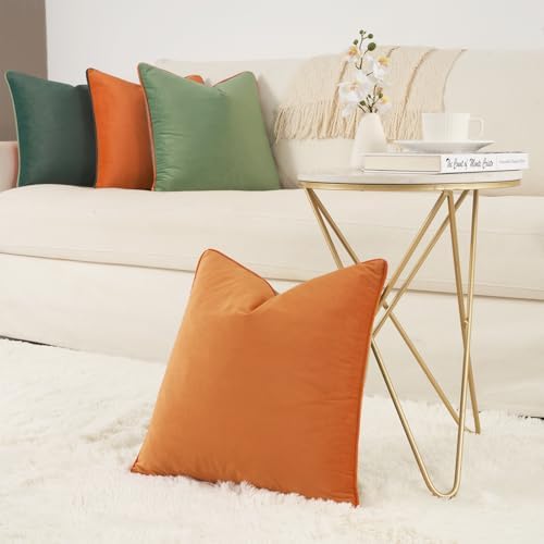 MONDAY MOOSE Decorative Throw Pillow Covers Cushion Cases, Set of 4 Soft Velvet Modern Double-Sided Designs, Mix and Match for Home Decor, Pillow Inserts Not Included (18x18 inch, Coral/Sage) - Image 6