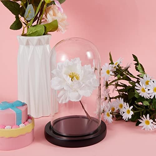 Suclain 4Pc Glass Dome Cloche with Wood Base, Black, 4.3/5.1/5.9/6.7 x 3.8 - Image 3