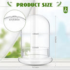2 Pcs 4.7 x 6.3 Inch Clear Glass Dome Terrarium with Air Hole & Base - Image 2