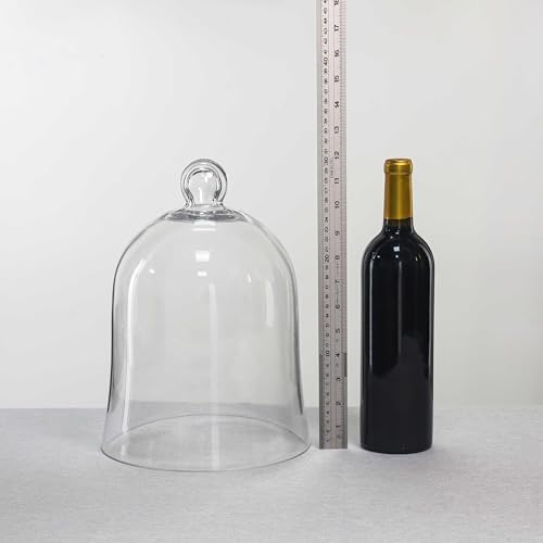 CYS EXCEL Glass Bell Dome Cloche (H:12" W:8.5") | Multiple Size Choices Enchanted Rose Glass Cover | Cake Dessert Display | Terrarium Jar Plant Cover - Image 4