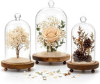 Pumtus 3 Sizes Cloche Glass Dome, Tall Glass Bell Display Case with Wooden Base & Handle, Dustproof Clear Decorative Jar for Plants, Medal, Photo, Home Party Wedding Decor Gift (4.7''/3.9''/3.5'') by Pumtus