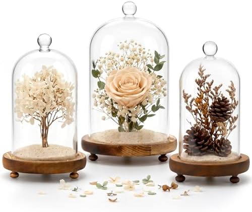 Pumtus 3 Sizes Cloche Glass Dome, Tall Glass Bell Display Case with Wooden Base & Handle, Dustproof Clear Decorative Jar for Plants, Medal, Photo, Home Party Wedding Decor Gift (4.7''/3.9''/3.5'') by Pumtus