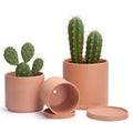 D'vine Dev 3-Pack Classic Terracotta Pots & Saucers, 6/8/10 in, 40-T-C-0 by DvineDevPlanterPotsandStand