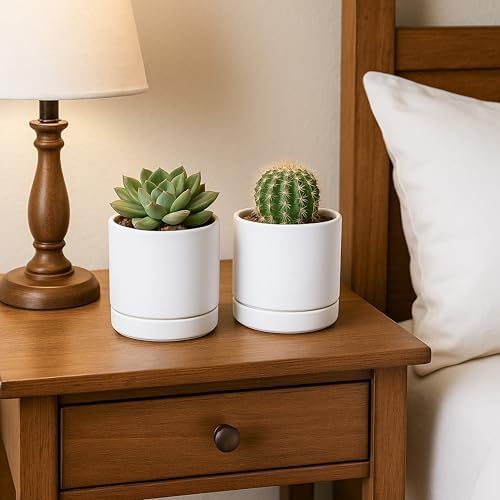 D'vine Dev 4-Pack Ceramic Pots with Saucers, White, 4.7 in, 94-X-B-1 - Image 5