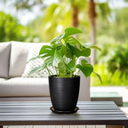 Ceramic Plant Pot - 8 Inch Ceramic Planter for Indoor Plants Glazed Round Flower Pot with Drainage Hole and Saucer Black - Image 6