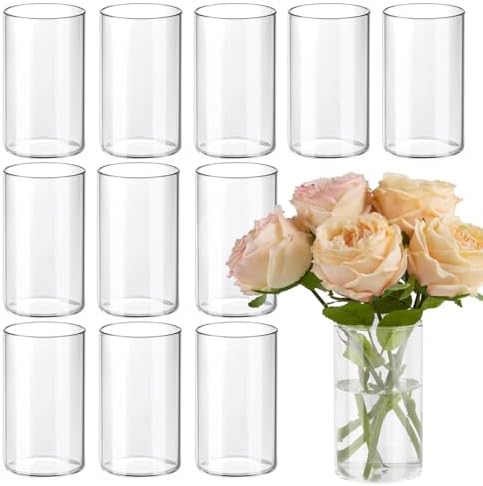 TBWIND 12pcs 6 Inch Clear Glass Cylinder Vases for Centerpieces by TBWIND