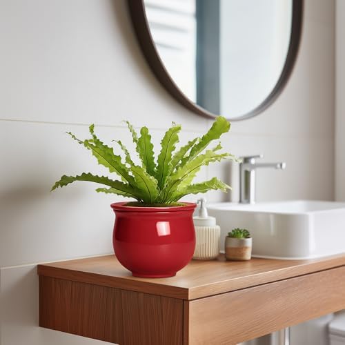 Ceramic Self Watering Planter, 6 Inch African Violet Pots with Absorbent Inner Pot, Round Self Watering Pots, Ceramic Flower Pot for Plants Indoor, Porch Decor, Plant Lover Gifts for Men, Red - Image 5