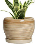 SQOWL Ceramic Pot for Plants - 6 Inch Indoor Planter with Drainage Hole and Tray, Round Modern Flower Pot Outdoor, Decorative Succulent Planter, Kitchen Decor, Gifts for Plant Lovers, Yellow by SQOWL