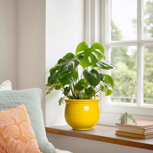 Ceramic Self Watering Planters, 6 Inch African Violet Pots for Indoor Outdoor Plants, Ceramic Plant Pot with Absorbent Inner Pot, Round Flower Pots, Living Room Decor, Gifts for Women, Yellow - Image 4